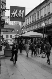 pexels-vladimirsrajber-29789554